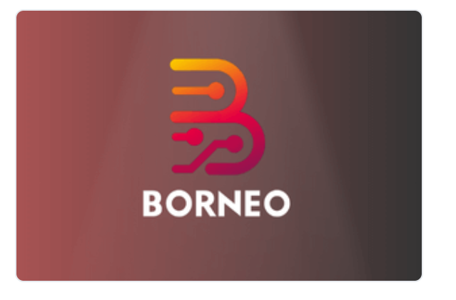 Borneo Schematic - 1 Year 2 User Activation
